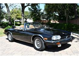 1989 Jaguar XJS (CC-1773526) for sale in Lakeland, Florida