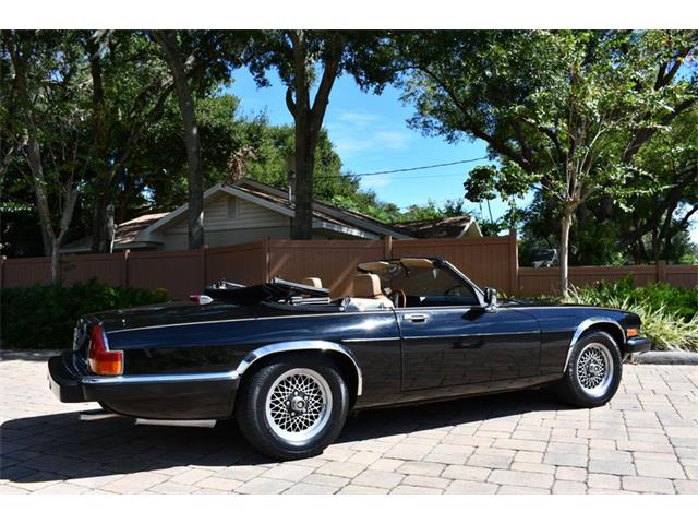 1989 Jaguar XJS (CC-1773526) for sale in Lakeland, Florida