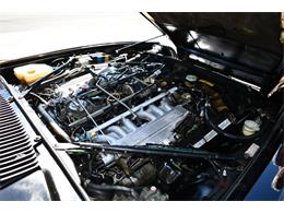 1989 Jaguar XJS (CC-1773526) for sale in Lakeland, Florida
