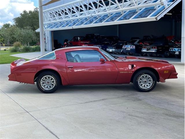1976 Pontiac Firebird Trans Am (CC-1773661) for sale in Palmetto, Florida