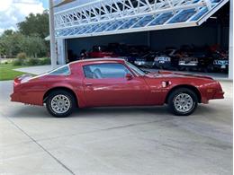 1976 Pontiac Firebird Trans Am (CC-1773661) for sale in Palmetto, Florida