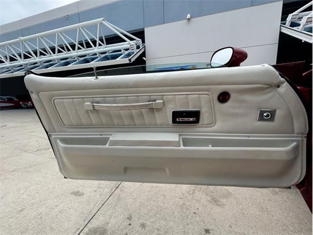 1976 Pontiac Firebird Trans Am (CC-1773661) for sale in Palmetto, Florida