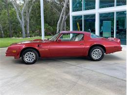 1976 Pontiac Firebird Trans Am (CC-1773661) for sale in Palmetto, Florida