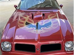 1976 Pontiac Firebird Trans Am (CC-1773661) for sale in Palmetto, Florida
