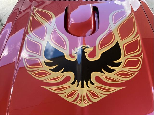 1976 Pontiac Firebird Trans Am (CC-1773661) for sale in Palmetto, Florida