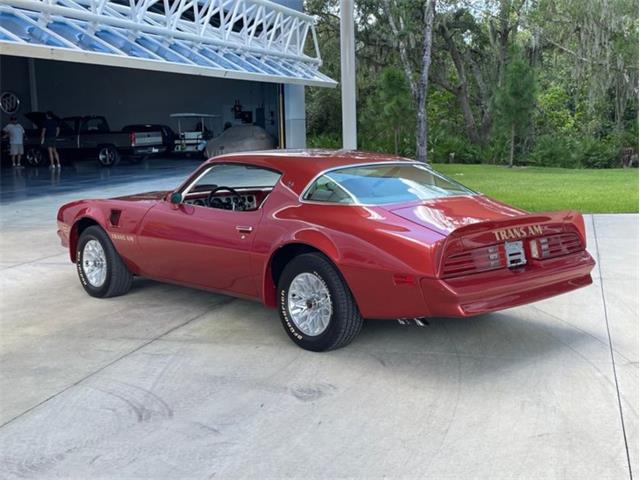 1976 Pontiac Firebird Trans Am (CC-1773661) for sale in Palmetto, Florida