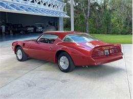 1976 Pontiac Firebird Trans Am (CC-1773661) for sale in Palmetto, Florida