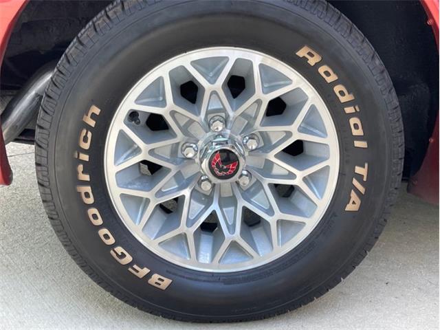 1976 Pontiac Firebird Trans Am (CC-1773661) for sale in Palmetto, Florida