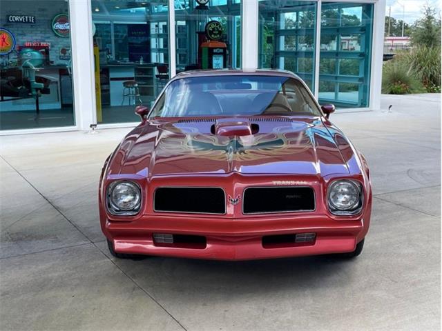 1976 Pontiac Firebird Trans Am (CC-1773661) for sale in Palmetto, Florida