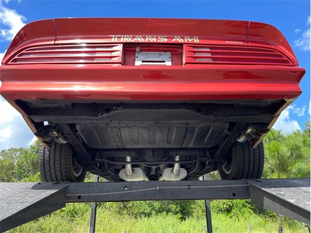 1976 Pontiac Firebird Trans Am (CC-1773661) for sale in Palmetto, Florida
