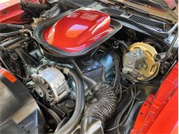 1976 Pontiac Firebird Trans Am (CC-1773661) for sale in Palmetto, Florida