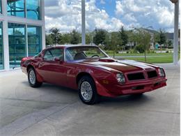 1976 Pontiac Firebird Trans Am (CC-1773661) for sale in Palmetto, Florida