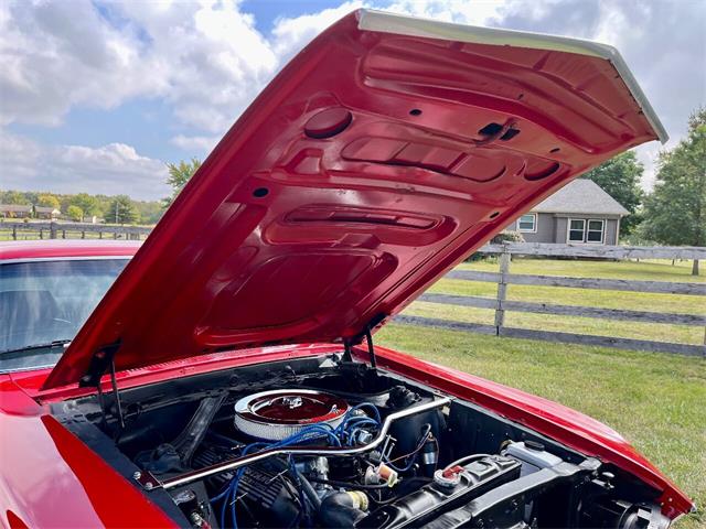 1969 Ford Mustang (CC-1773711) for sale in Knightstown, Indiana