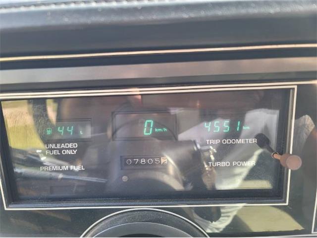 1984 Buick Grand National (CC-1773831) for sale in Cadillac, Michigan