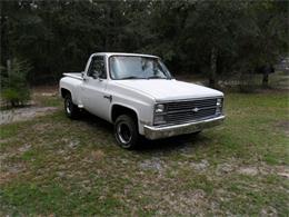 1984 Chevrolet C10 (CC-1774227) for sale in MILTON, Florida