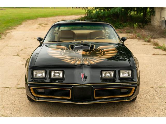 1981 Pontiac Firebird Trans Am for Sale | ClassicCars.com | CC-1774534