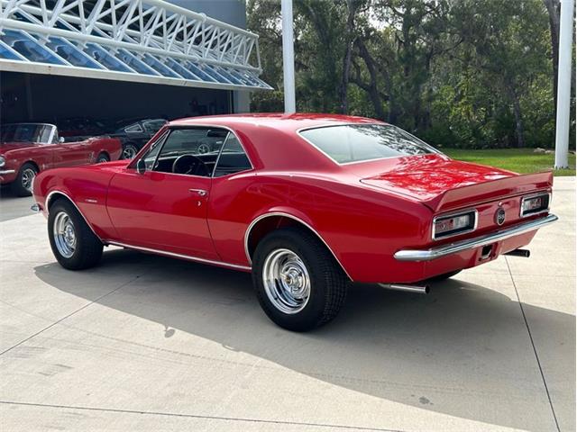 1967 Chevrolet Camaro (CC-1774922) for sale in Palmetto, Florida