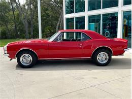 1967 Chevrolet Camaro (CC-1774922) for sale in Palmetto, Florida