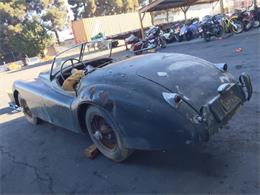 1954 Jaguar XK120 (CC-1775324) for sale in Astoria, New York
