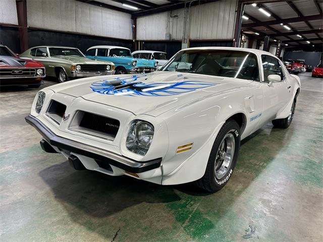 1974 Pontiac Firebird Trans Am for Sale | ClassicCars.com | CC-1775501