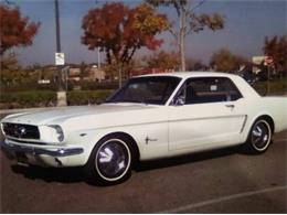 1965 Ford Mustang (CC-1775643) for sale in Cadillac, Michigan