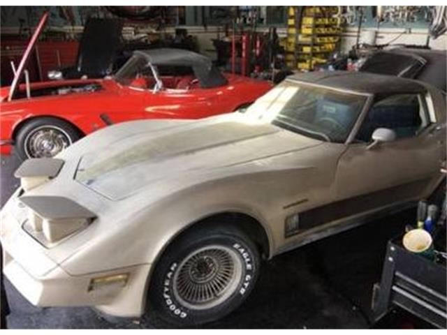 1982 Chevrolet Corvette (CC-1770565) for sale in Cadillac, Michigan