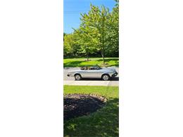 1981 Fiat 124 Spider 2000 (CC-1770634) for sale in Hamilton, Ontario