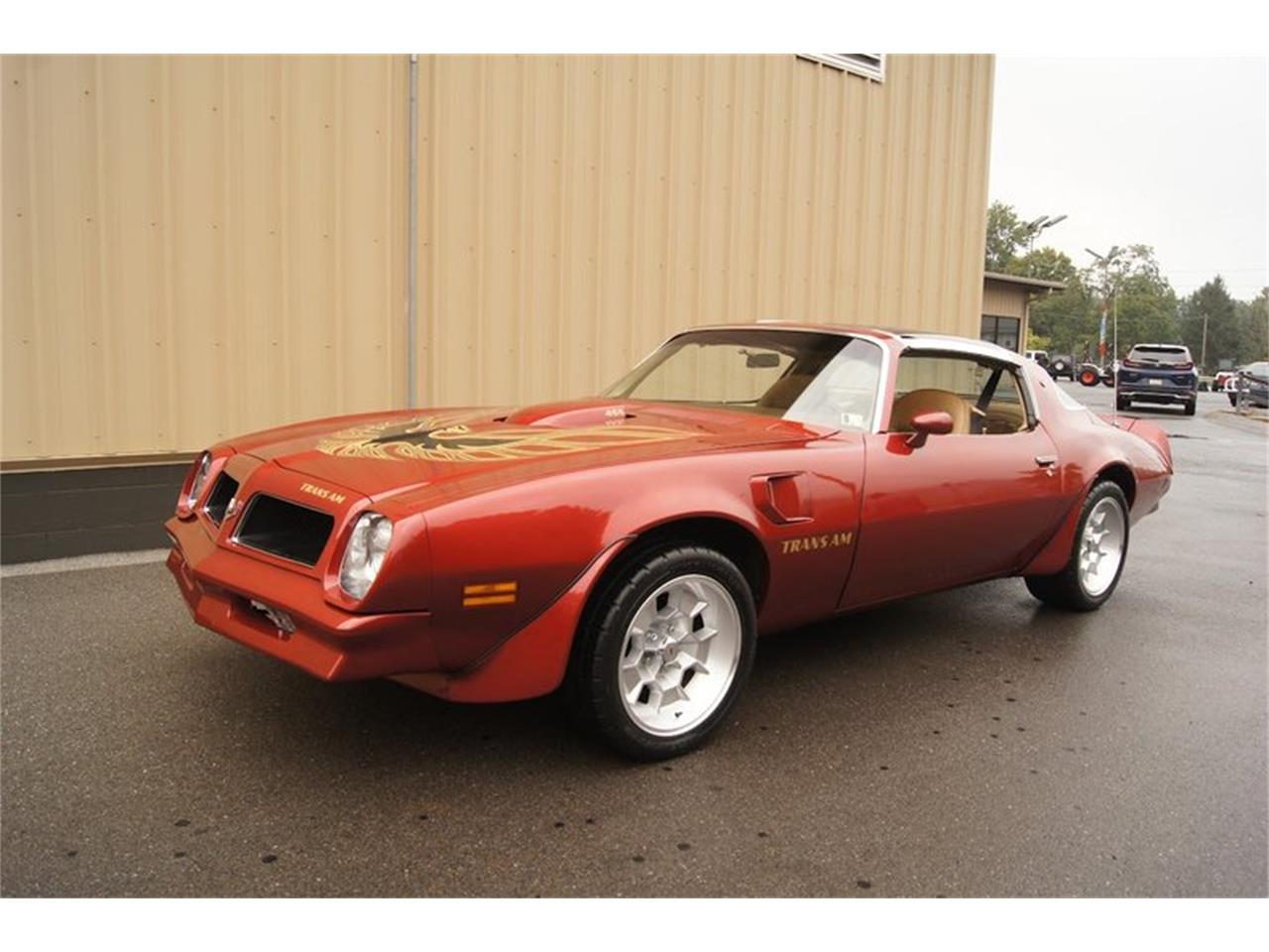 1976 Pontiac Firebird Trans Am for Sale | ClassicCars.com | CC-1776353