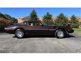 1981 Pontiac Firebird Trans Am (CC-1776593) for sale in Milford, Ohio