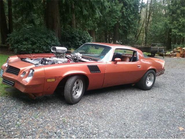 1970 Chevrolet Camaro (CC-1776704) for sale in Cadillac, Michigan