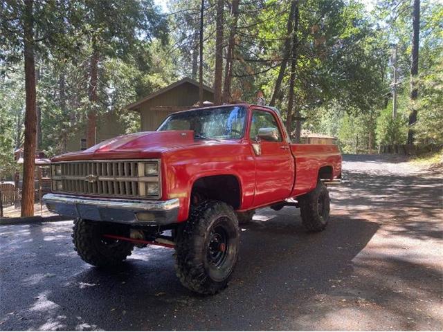 1981 Chevrolet K-10 (CC-1776723) for sale in Cadillac, Michigan