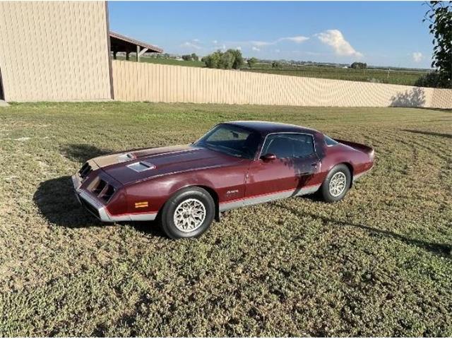 1980 Pontiac Firebird (CC-1776725) for sale in Cadillac, Michigan