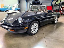 1984 Alfa Romeo Spider (CC-1777320) for sale in Salem, Ohio