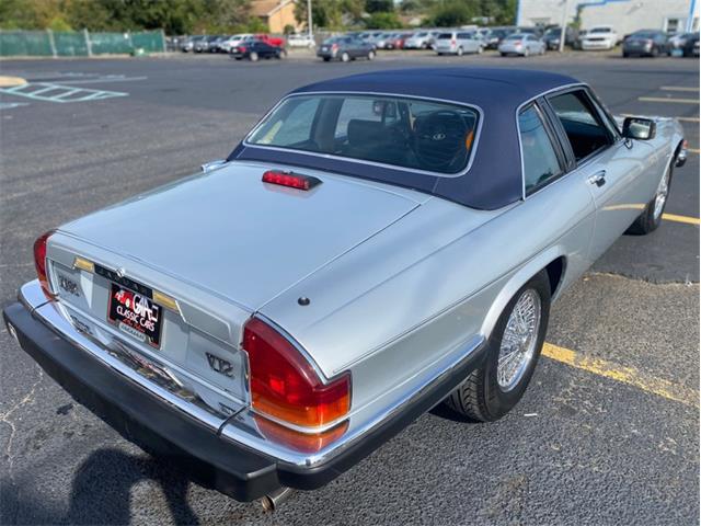 1988 Jaguar XJSC (CC-1777514) for sale in Greensboro, North Carolina