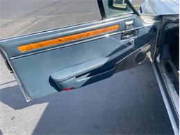 1988 Jaguar XJSC (CC-1777514) for sale in Greensboro, North Carolina
