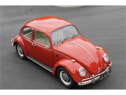 1966 Volkswagen Beetle (CC-1777940) for sale in Fullerton, California