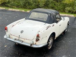 1961 Alfa Romeo Giulietta Spider (CC-1778135) for sale in Astoria, New York