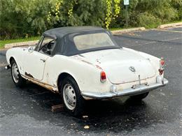 1961 Alfa Romeo Giulietta Spider (CC-1778135) for sale in Astoria, New York