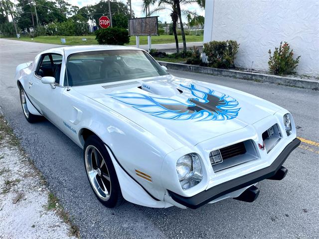 1975 Pontiac Firebird Trans Am for Sale | ClassicCars.com | CC-1778473