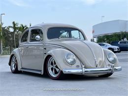 1955 Volkswagen Beetle (CC-1770085) for sale in Miami, Florida