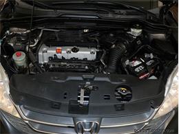 2011 Honda CRV (CC-1778567) for sale in Addison, Illinois