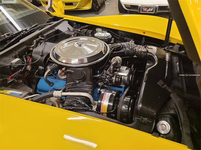 1980 Chevrolet Corvette (CC-1778692) for sale in martinsburg, Pennsylvania