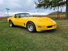 1980 Chevrolet Corvette (CC-1778692) for sale in martinsburg, Pennsylvania