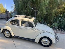 1962 Volkswagen Beetle (CC-1779446) for sale in Riverside, California