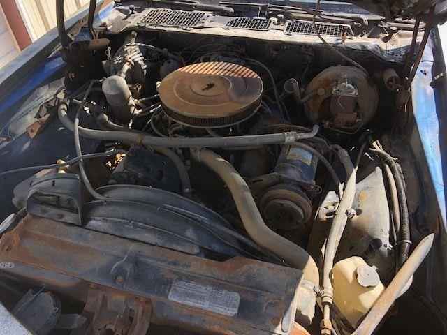 1978 Chevrolet Camaro (CC-1779561) for sale in Cadillac, Michigan