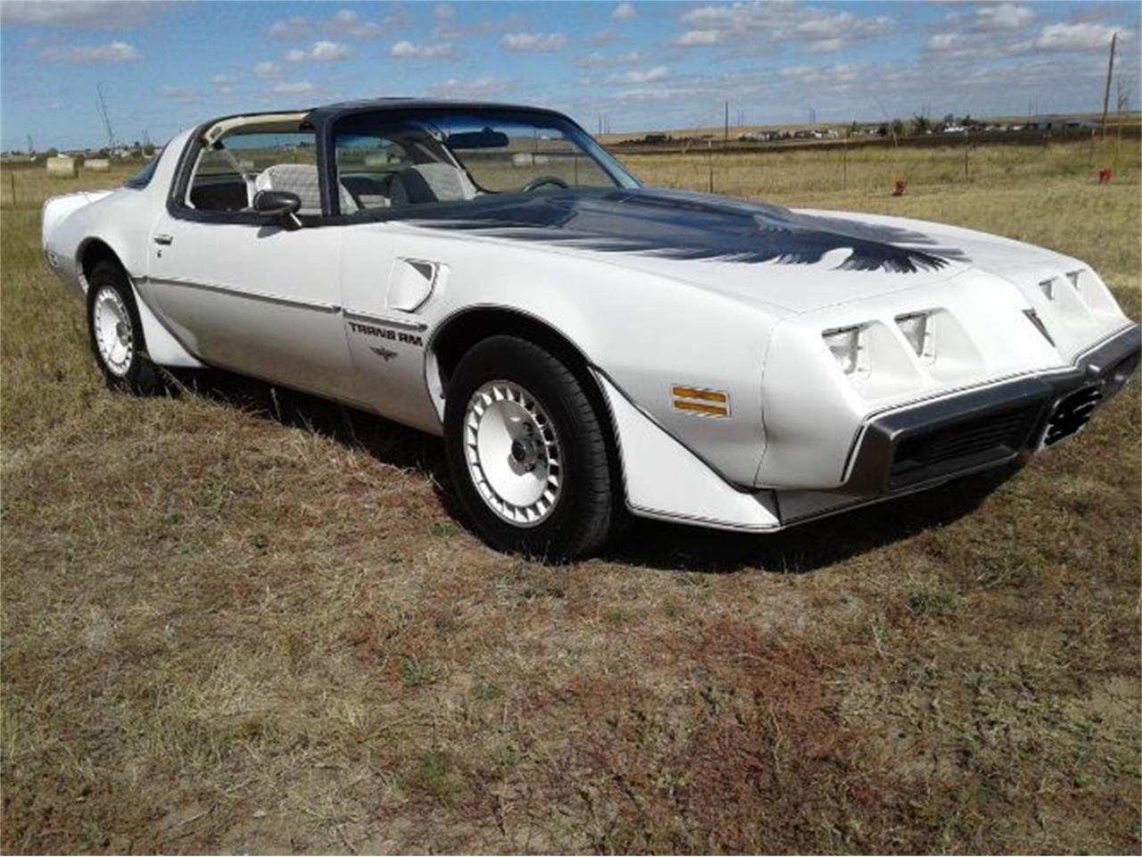 1980 Pontiac Firebird Trans Am for Sale | ClassicCars.com | CC-1779584