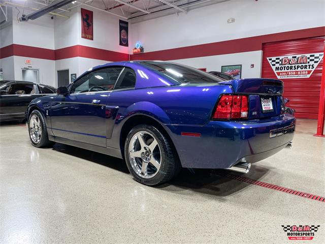 2004 Ford Mustang SVT Cobra (CC-1779683) for sale in Glen Ellyn, Illinois