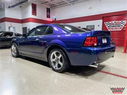 2004 Ford Mustang SVT Cobra (CC-1779683) for sale in Glen Ellyn, Illinois