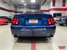 2004 Ford Mustang SVT Cobra (CC-1779683) for sale in Glen Ellyn, Illinois