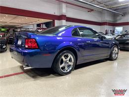 2004 Ford Mustang SVT Cobra (CC-1779683) for sale in Glen Ellyn, Illinois